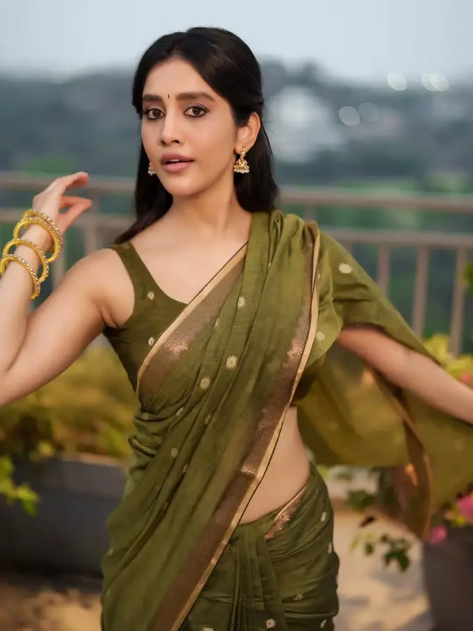 Nabha Natesh2